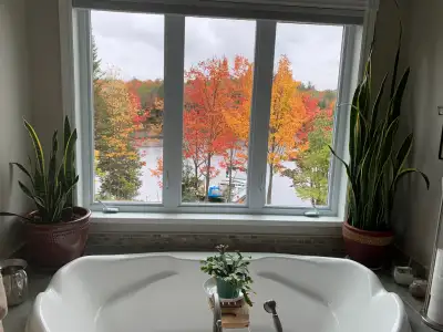 Store motorisé 70’’ x 54’’, View more