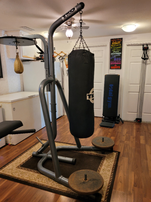 Heavy bag with stand in Exercise Equipment in Moose Jaw