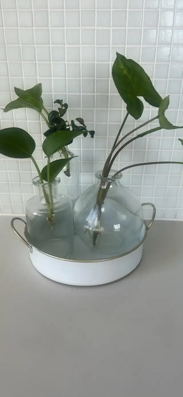 7” round tin tray with 3 glass vases in Home Décor & Accents in City of Toronto - Image 5