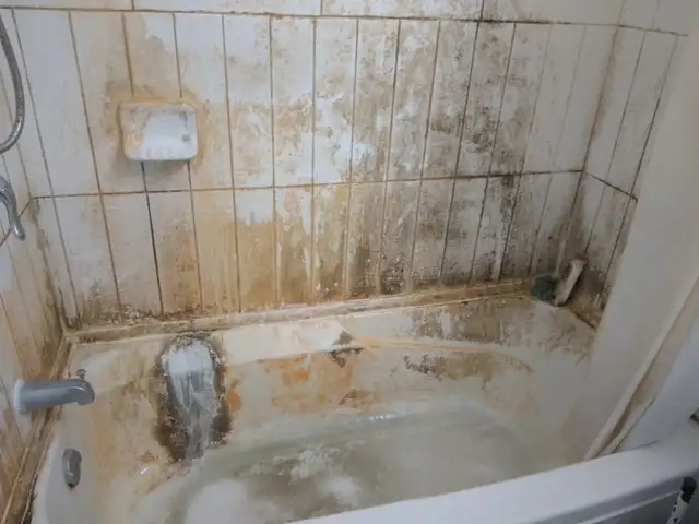 Bath-tub Black Mold Removal, Tile & Grout Cleaning & Caulking63384476708483121