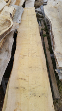 Poplar slabs