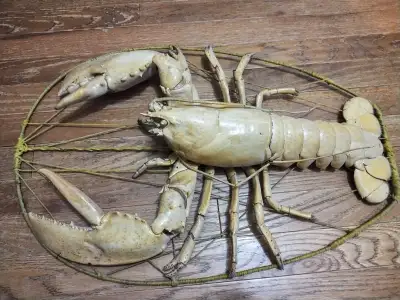 Antique taxidermy lobster - HUGE!, View more