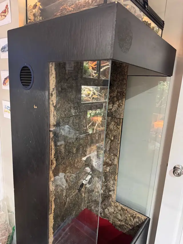 Reptile Enclosure in Reptiles & Amphibians for Rehoming in Kawartha Lakes - Image 4