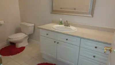 Immaculate Basement Apartment with private entrance. Spacious open concept with large eat-in kitchen...