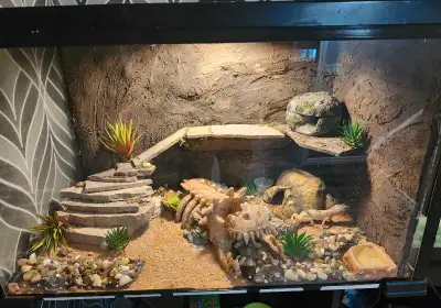 This terrarium is in used condition, but has been well maintained to house reptiles comfortably with...