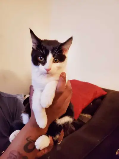 Forever Home, View more