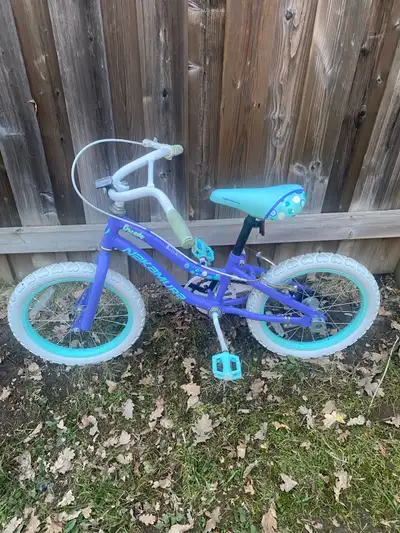 Nakamura 16 inch Bike, View more