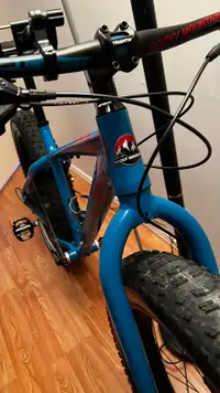 Fat-Bike 