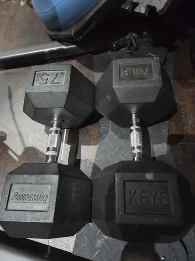 75lb Hex Dumbbells, View more