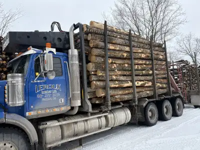 firewood logs, View more