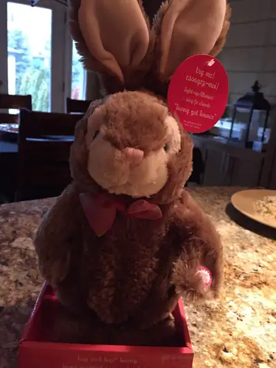 Perfect Easter Gifts! Lights Up, hops and sings “bunny has bounce”-$15 Soft plush Easter bunnies- Br...