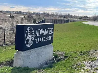 Company: Advanced Taxidermy & Wildlife Design Ltd. / Advanced Taxidermy Business Information: Advanc...