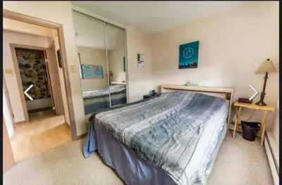 Looking for 3 female  roomies