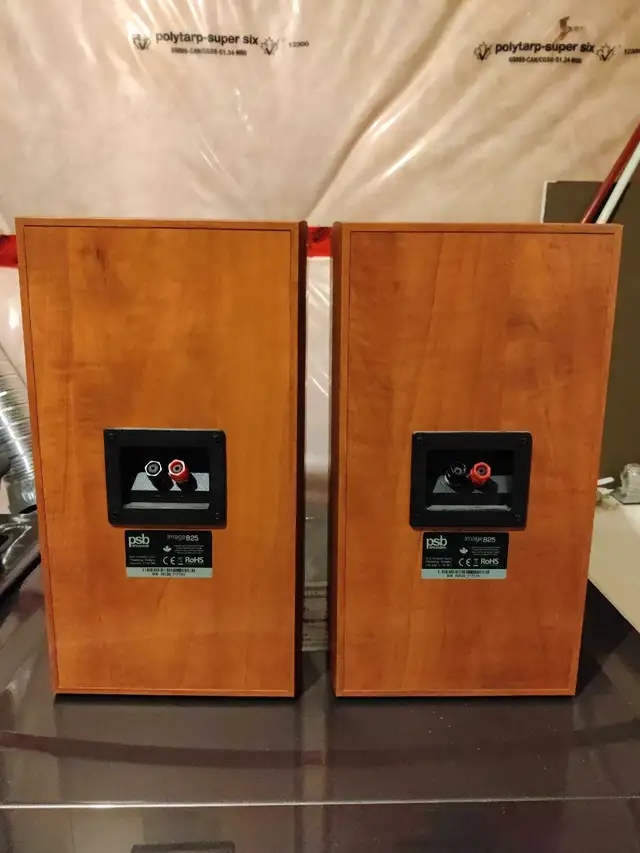 PSB Image B25 loudspeaker63234832956547121