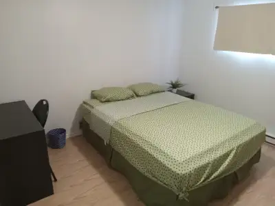Chambre disponible dans un quartier paisible
