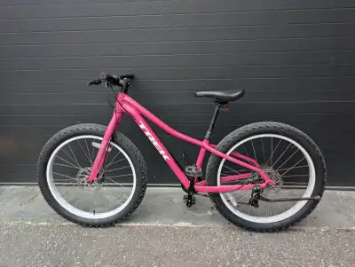 Trek Roscoe 24" Kids Youth Mountain Bike Disc Brakes Girls, View more