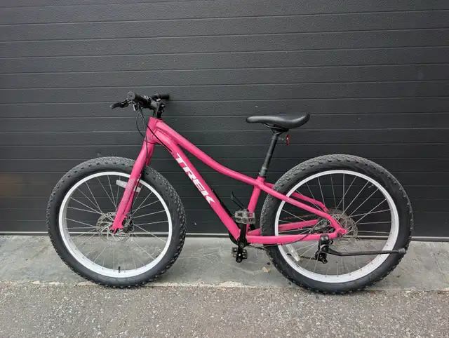 Trek Roscoe 24" Kids Youth Mountain Bike Disc Brakes Girls in Mountain in City of Toronto - Image 2