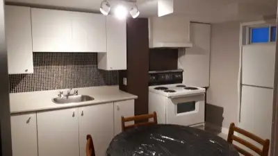 One newly renovated and beautiful Bachelor Basement apartment for Rent (to 1 One professional person...