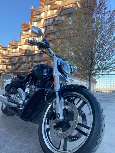 HD Vrod muscle in excellent clean condition, well maintained by HD dealer, with ABS, LED, 2 original...