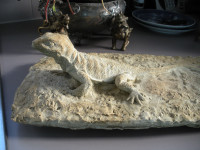 Plaster Cast of Salamander/Lizard for Sale
