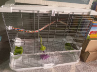 Bird cage and small rodent cages 