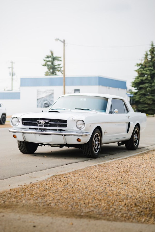 1965 mustang Classic Cars Medicine Hat Kijiji