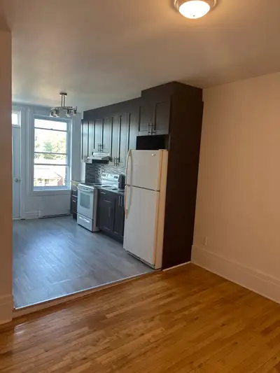 4 1/2 ensoleillé dans rosemont