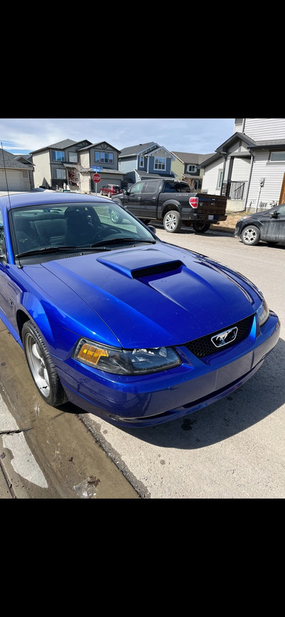 Rare Original 2002 Mustang GT 