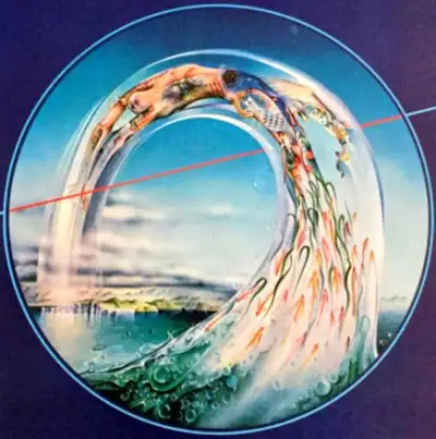70s folk and acoustic guitar CDs, View more