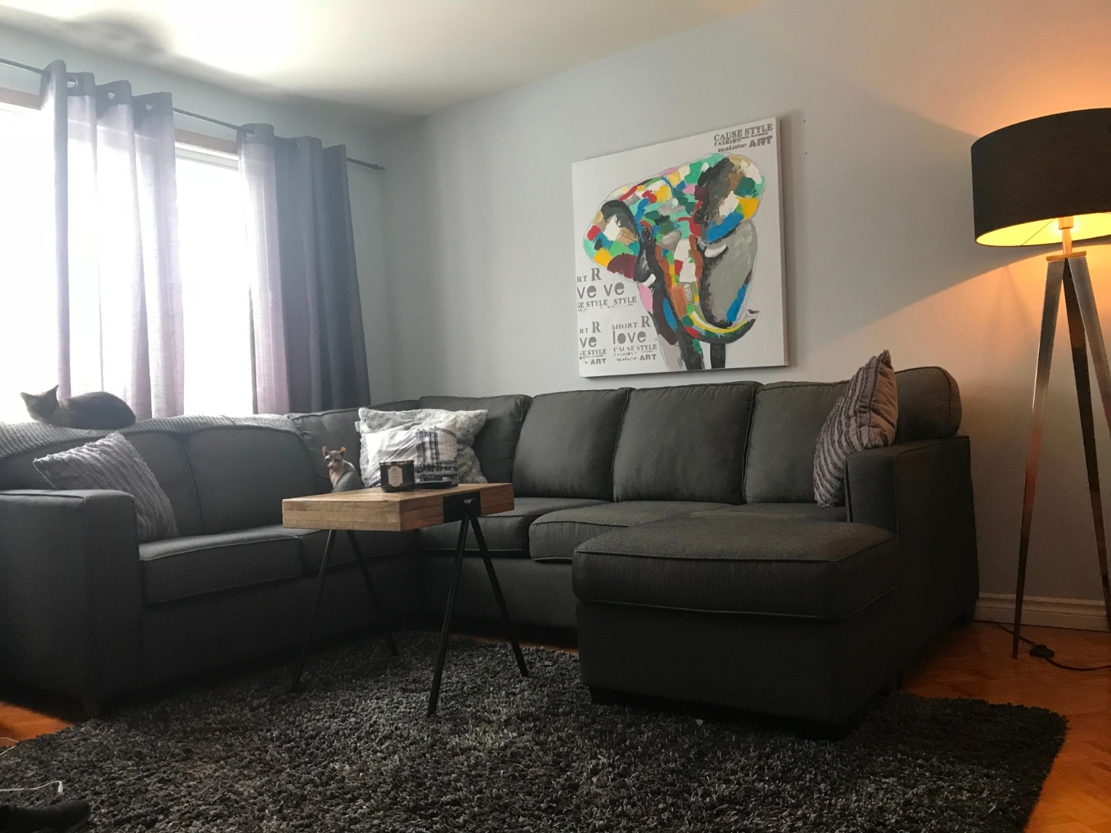 Rm share  1 Jul, $750-1000  Lachine Ouest Duplex 5 1/2 share big — photo 2