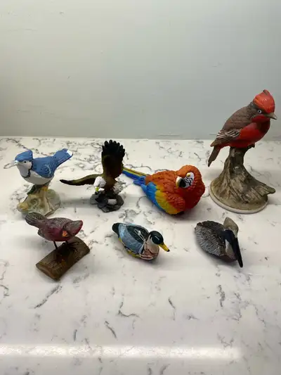 7 BIRDS and all for $30, View more