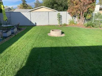 lawn care services city wide starting at $50.00, View more