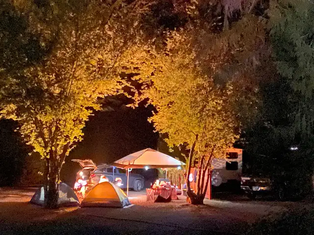 Parksville/Qualicum Beach Over-Winter Glamping in British Columbia in Canada - Image 4