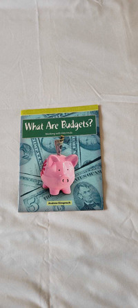 What are budgets by Andrew Einspruch
