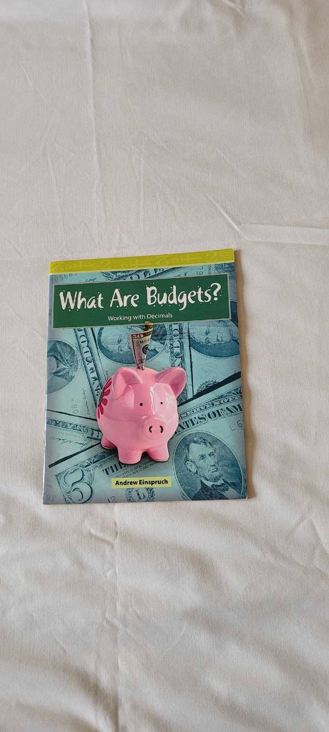 What are budgets by Andrew Einspruch dans Livres jeunesse et ados  à Ville de Montréal