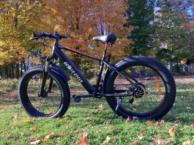 FATBIKE vélo électrique Grizzly de Ecolo-cycle fat bike, View more
