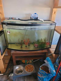 Fish Tank for sale