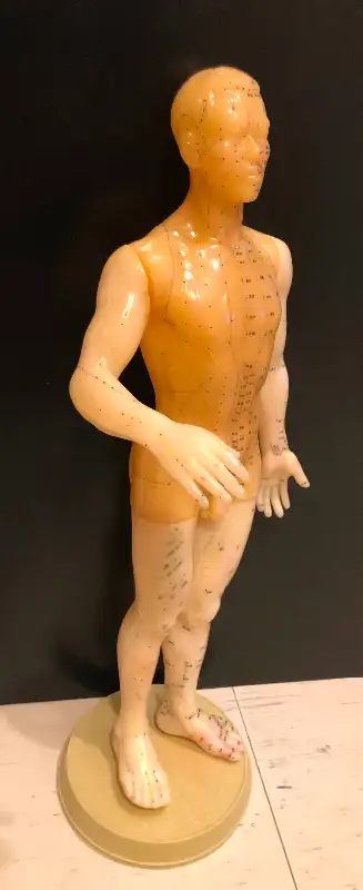 Vintage male medical model. In great condition. Made of a silicone rubber-like material. Acupuncture...