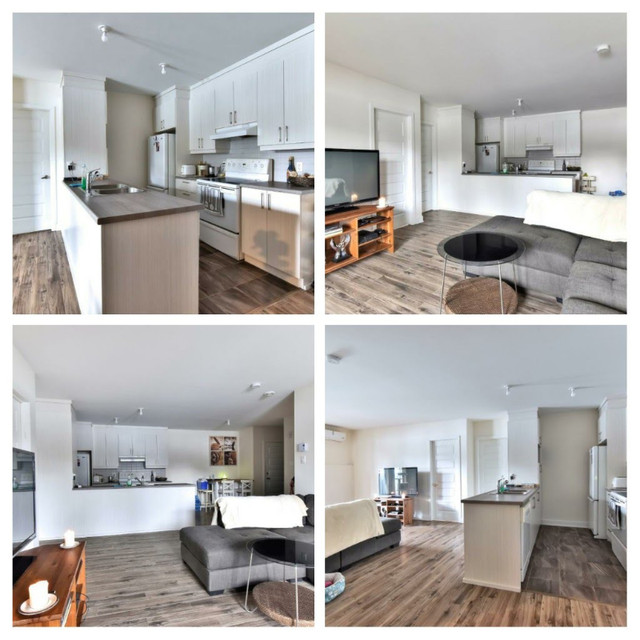 MAGNIFIQUE CONDO MODERNE 4 ½ À LOUER DEUX MONTAGNES (ANIMAUX A Locations longue durée