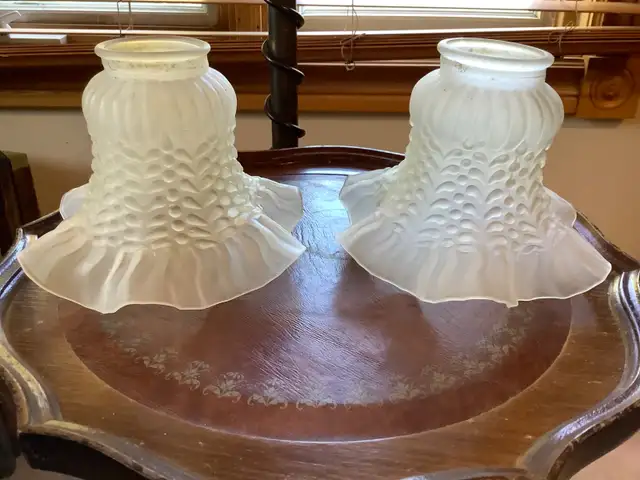 Two Vintage Frosted Petticoat Glass Lamp Shades in Indoor Lighting & Fans in Belleville - Image 2