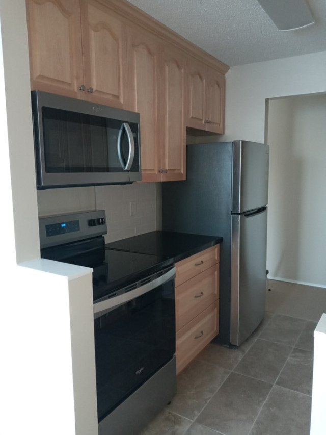  Spacious One-Bedroom Apartment with Ocean Views  in Long Term Rentals in North Shore - Image 2