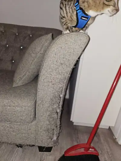 Grey Sofa, View more