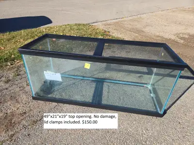 Drayton Valley Reptile Rescue Semi-Annual Sale!, View more