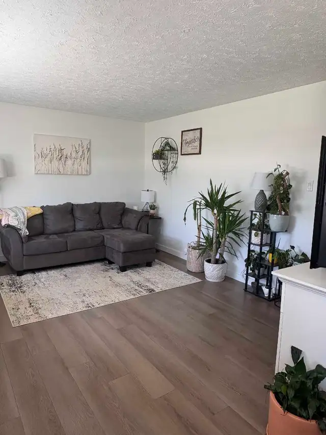 Renovated 2 Bedroom Main Level Unit of 4plex Available
