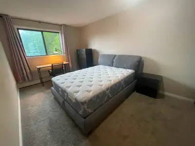 Large master bedroom for rent