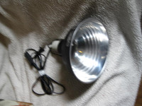 8.5" Dome  Lamp, a 5.5 in. lamp or another bulb.