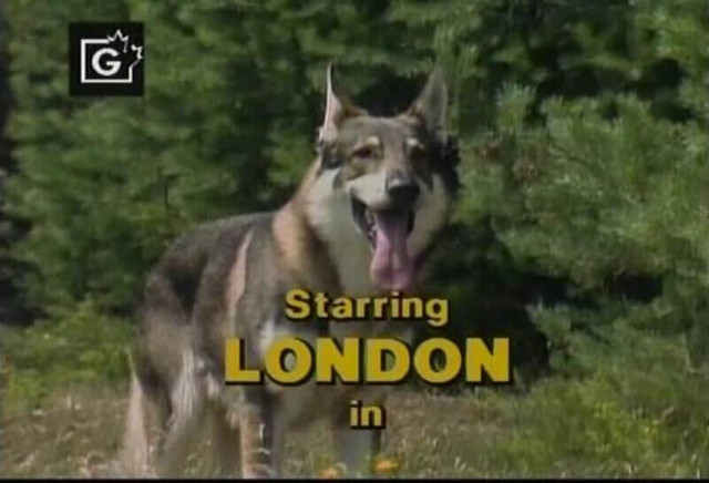 THE LITTLEST HOBO 114 EPISODES 16 DVD ISO SET 1979-1985 TV SHOW in CDs, DVDs & Blu-ray in North Bay - Image 2