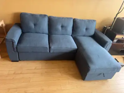 Purchased from The Brick. Only used 5 months. Very good condition. Come with clean kit gift. Please...