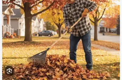 looking for landscaping, gardening jobs, View more