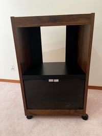 Stereo/ Entertainment Cabinet